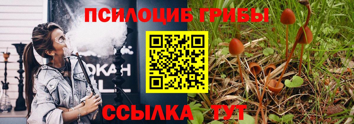 Галлюциногенные грибы мицелий  Вход с VPN  Шарыпово 