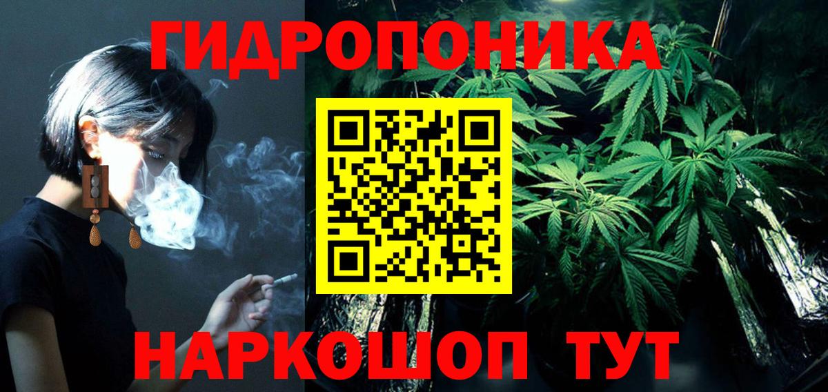Бошки марихуана OG Kush  Вход с VPN  Шарыпово  Шишки марихуана планчик  Бошки Шишки OG Kush  Шишки марихуана сатива 
